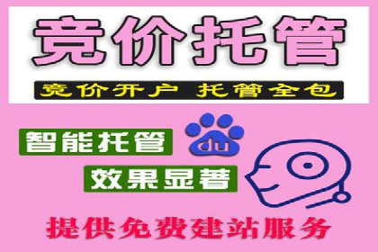 SEM代理服务：助力企业精准营销案例解析